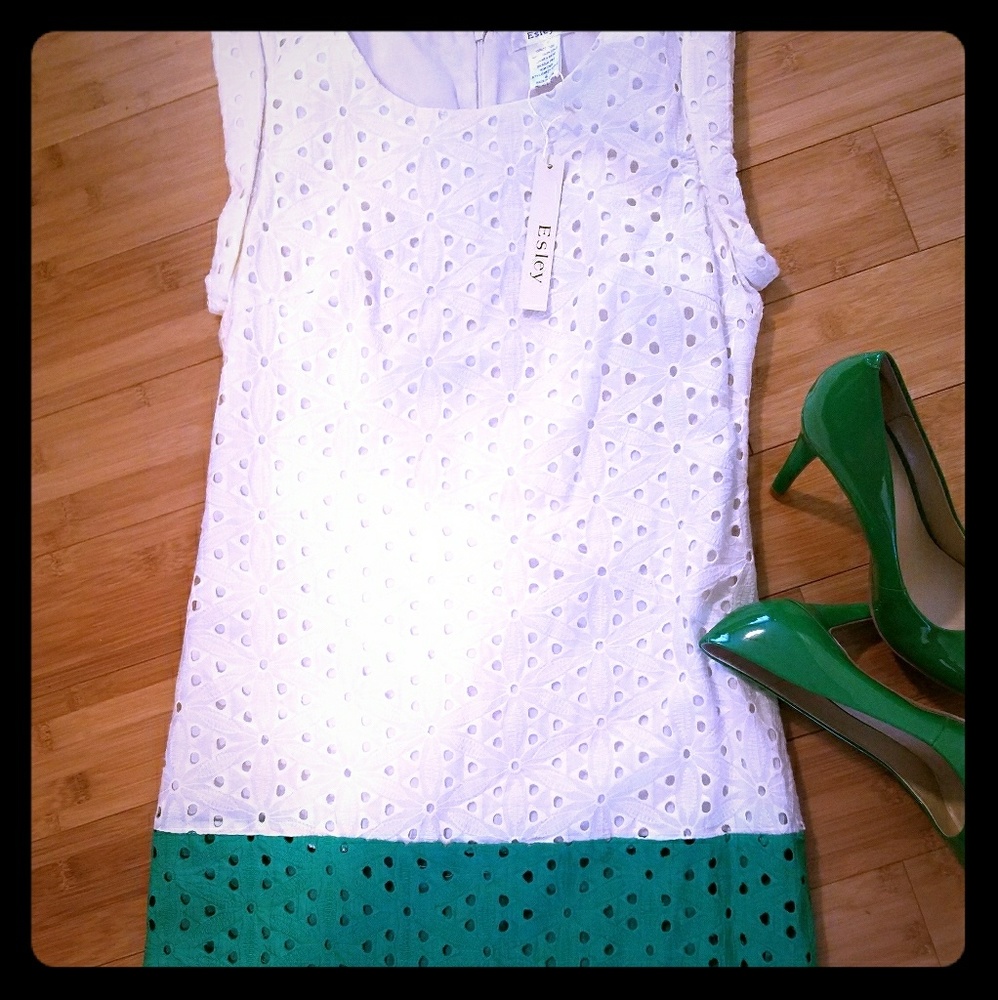 Esley color block mini dress